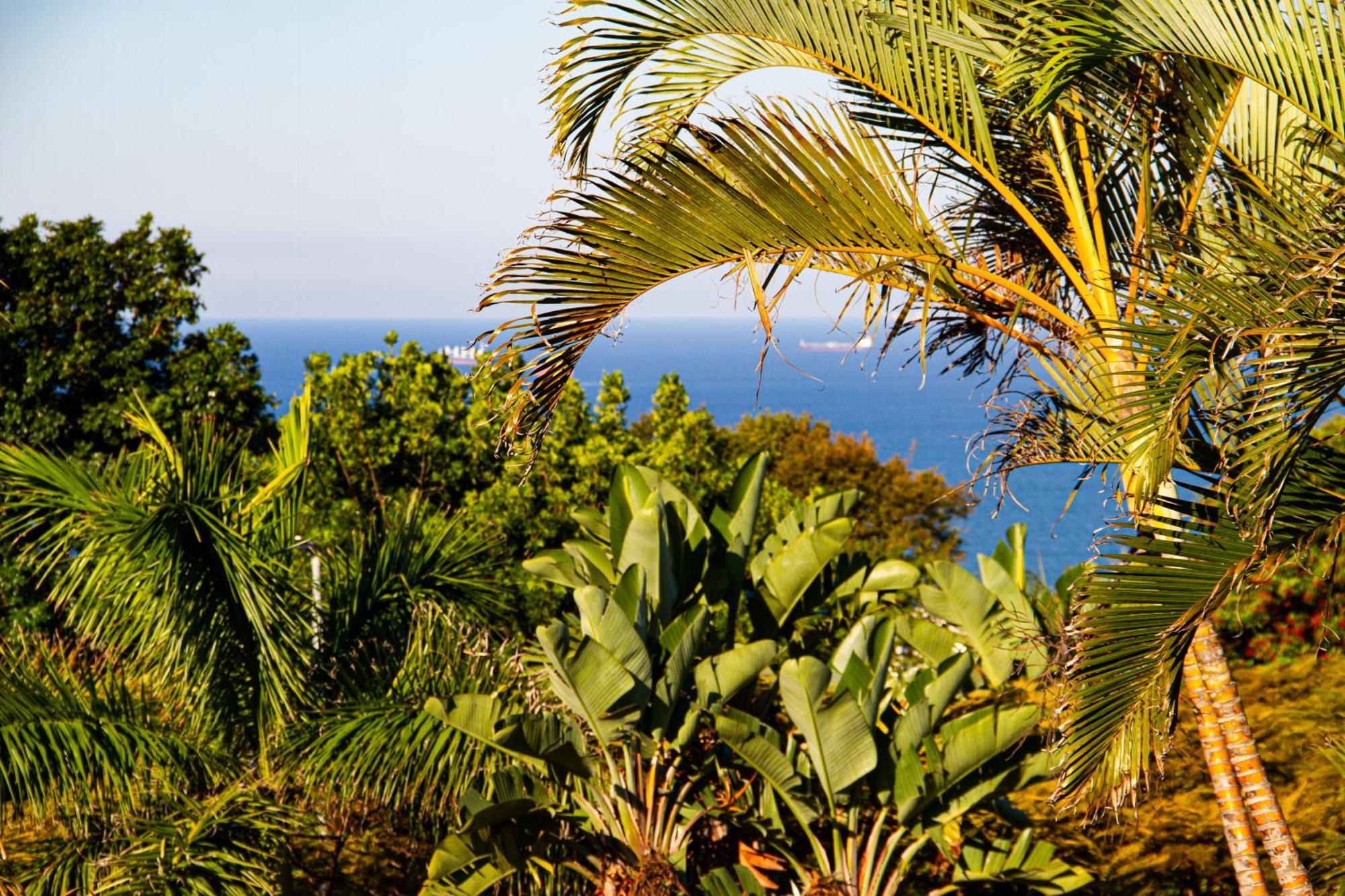 La Loggia Bed And Breakfast Durban Bagian luar foto